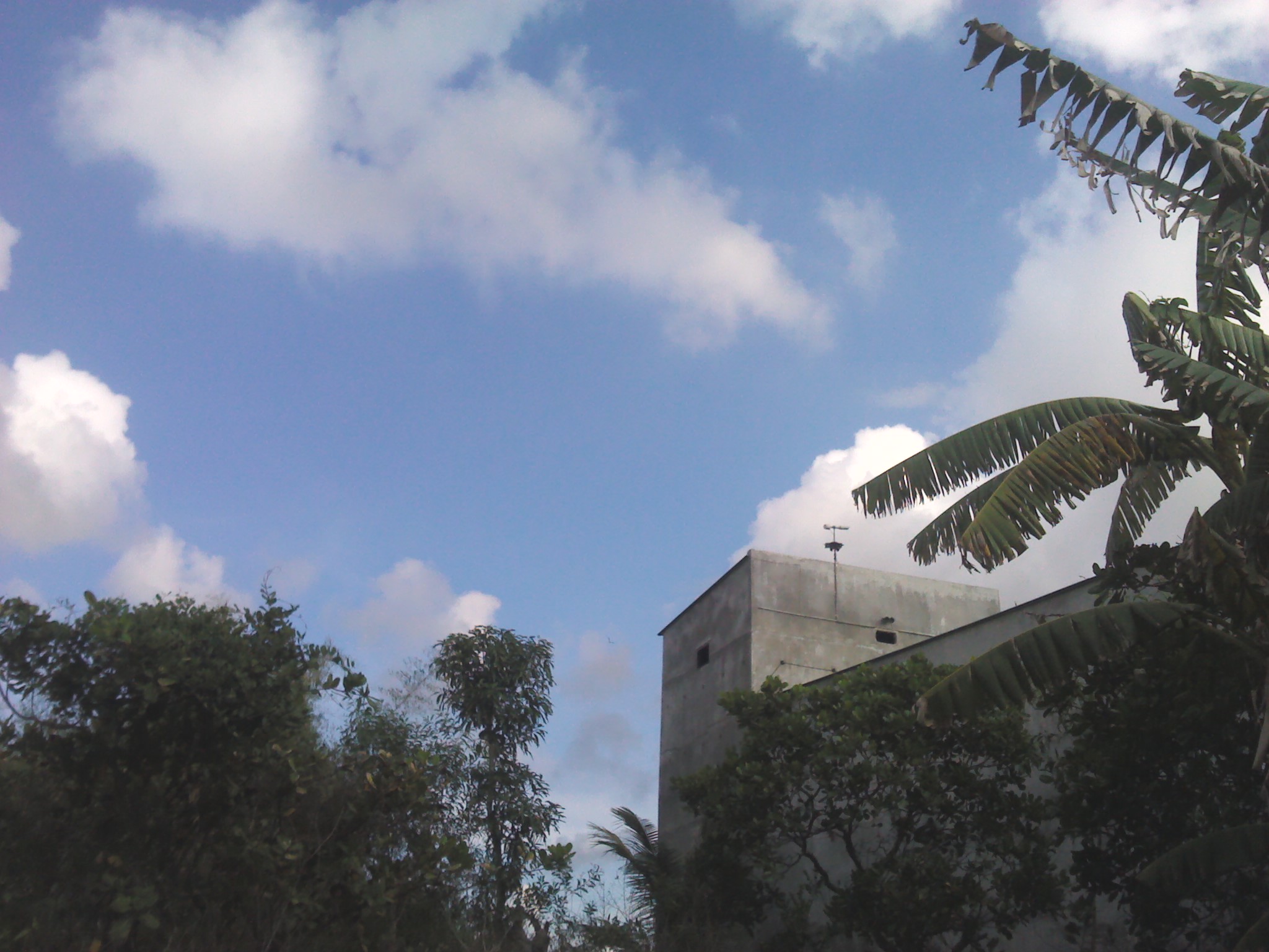 Tư vấn xây dựng nhà yến