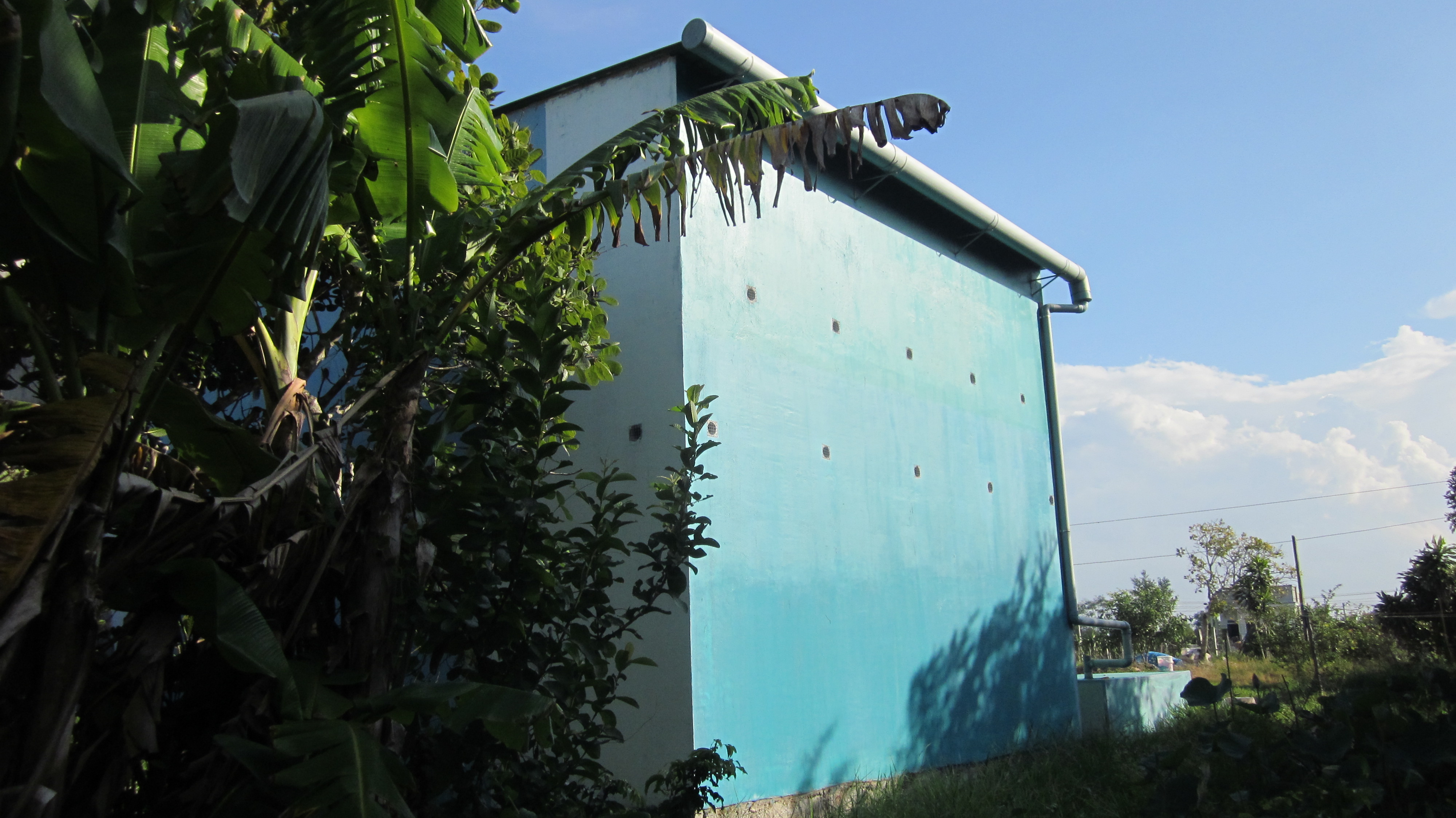 Sửa chữa nhà nuôi Yến giá rẻ