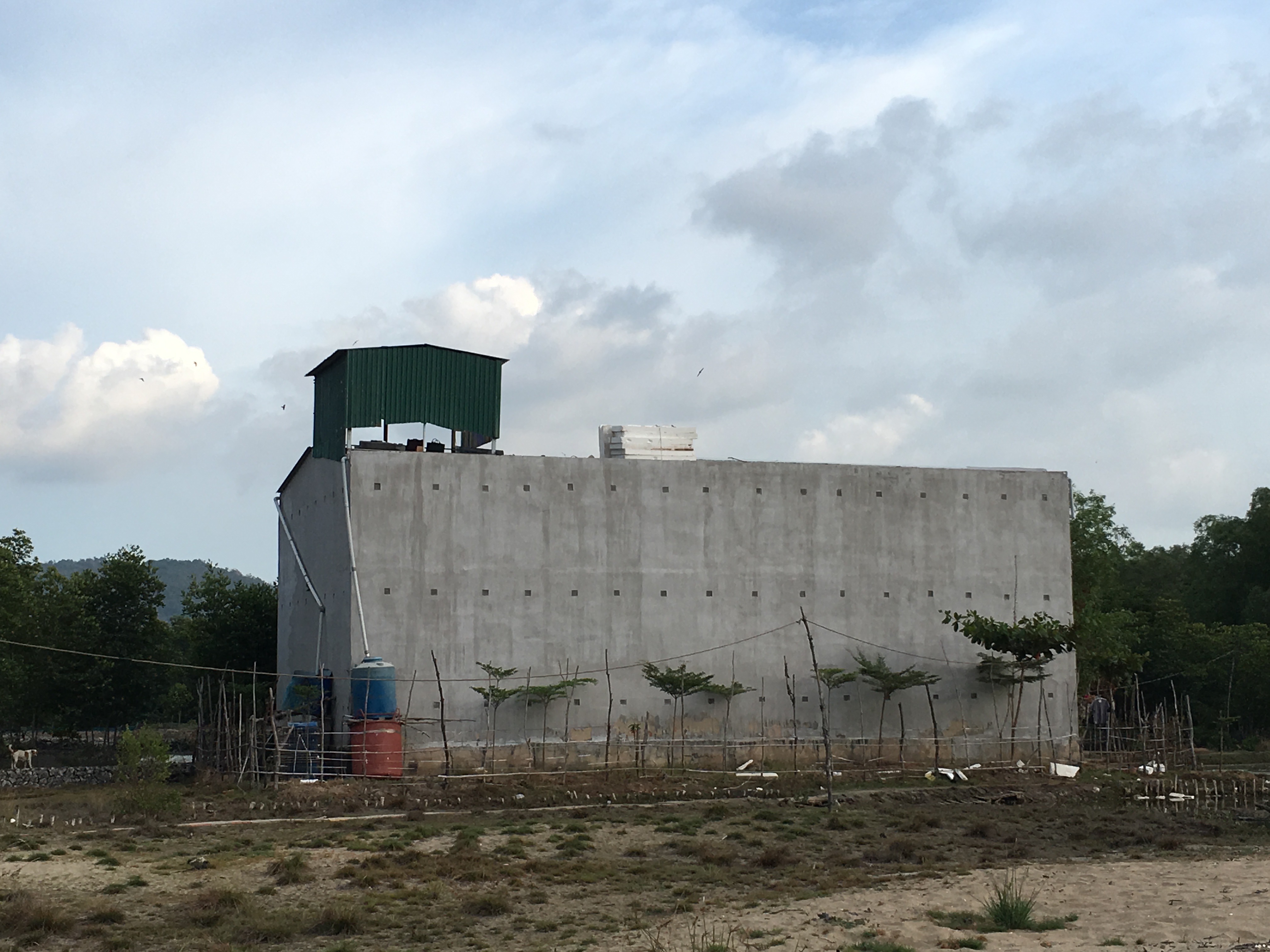 Tư vấn kỹ thuật nuôi yến