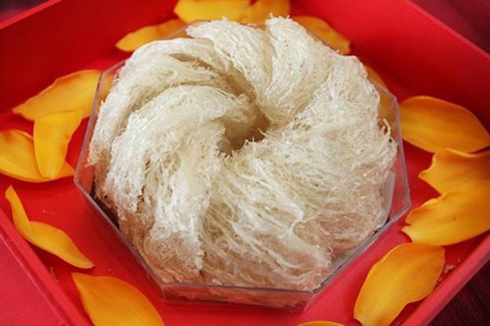 Mua tổ yến sào ở đâu tại Vũng Tàu tốt và uy tín